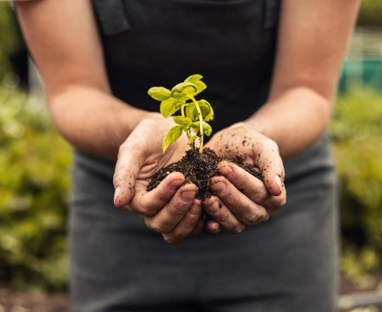 Organische meststoffen kopen